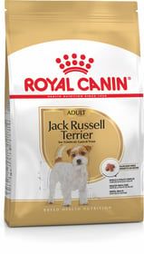 Royal Canin Jack Russell Adulte