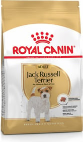 Royal Canin Jack Russell Adulte