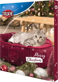 Adventskalender für Katzen