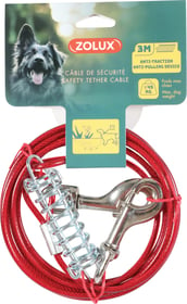 Câble d'attache pour chien