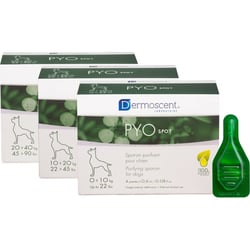 Dermoscent PYOspot Spot-on purifiant pour chien