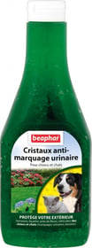 Cristaux répulsifs anti-marquages urinaires pour chien et chat