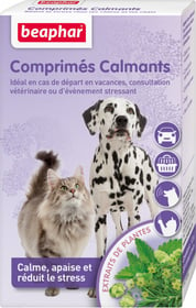 Comprimés calmants pour chien et chat