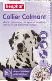 Collier calmant pour chien