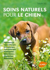 Soins naturels pour le chien