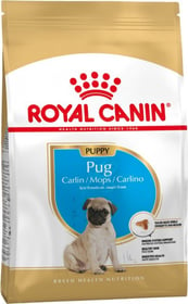 Royal Canin Breed Puppy Pug pour Carlin Chiot