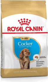 Royal Canin Breed Cocker Junior