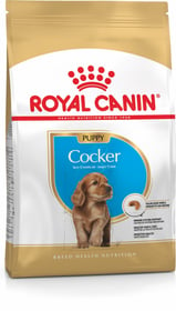 Royal Canin Breed Cocker Junior