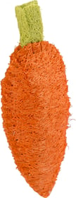 Luffa burkāns 10 cm