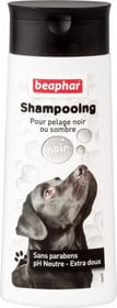 Shampoing Bulles, pelage noir ou sombre