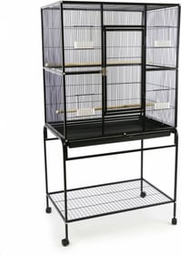 Cage pour perruches et petits perroquets Zolia Conura - H 150.5 cm - 82 x 52 x H 150.5cm