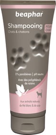 Shampoing Premium chat et chaton