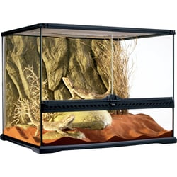 Terrarium Exo Terra Natural Desert - 60x45x45