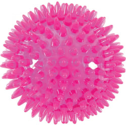 Igelball aus TPR Pop in rosa