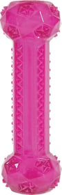 Stick Pop TPR rose