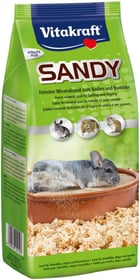 Chinhilla Sand Sandy