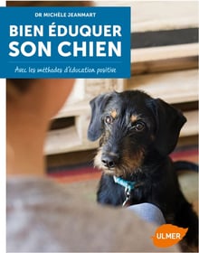 Bien éduquer son chien avec les méthodes d'éducation positives