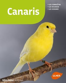 Canaris : les connaitre, les nourrir, les soigner