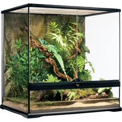 Terrarium Exo Terra Natural Jungle - 60x45x60 cm