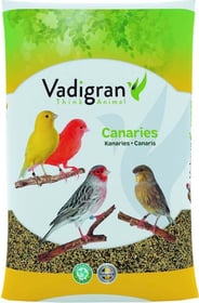 Aliment Canari Basic