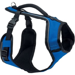 Harnais EasySport PETSAFE bleu