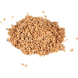 Riz paddy pour oiseaux