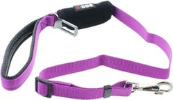 Laisse confort IDOG violet et gris avec boucle de sécurité pour voiture