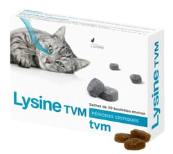 Lysine TVM pour chat