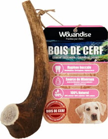 WOUANDISE Bois de cerf à mâcher pour chien