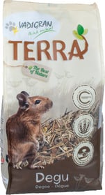 Vadigran Terra Degu