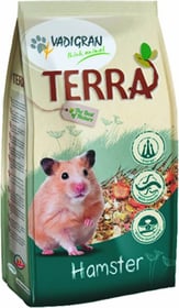 Vadigran Terra hamster