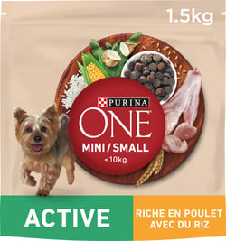 PURINA ONE MINI Active