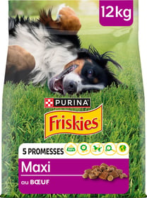 FRISKIES Maxi - Croquettes pour chien de grande taille au bœuf