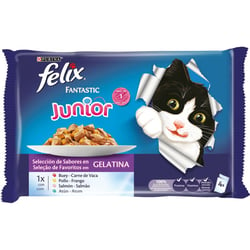 FELIX Fantastic pour chaton