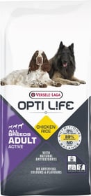 Opti Life Adult Active All Breeds au poulet pour chien adulte actif de moyenne et grande taille