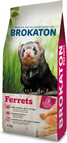 Brokaton complete furet