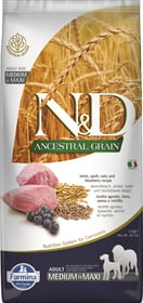 FARMINA N&D Ancestral Grain Agneau & Myrtilles pour chien adulte Medium/Maxi