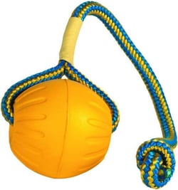 Balle avec corde pour chien Starmark Everlasting Swing n Fling Fetch Ball