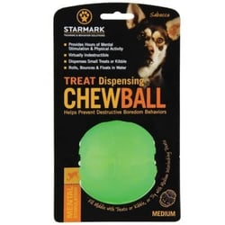 Leckerbissen Ball- Everlasting Treat Chew Ball