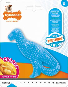 Nylabone Jouet dentaire Dino Goût Poulet 