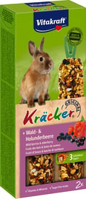 Kräcker Snack für Zwergkaninchen – Verschiedene Geschmacksrichtungen – Packung mit 2 Kräckern