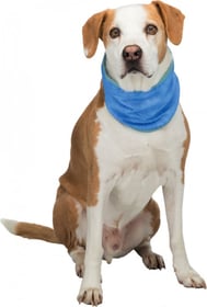 Bandana rafraîchissant pour chien - Plusieurs tailles disponibles 