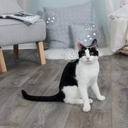 Bulles de Catnip pour jouer intensément avec votre chat