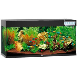 Aquarium JUWEL Rio 240 LED