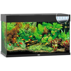 Aquarium JUWEL Rio 125 LED 