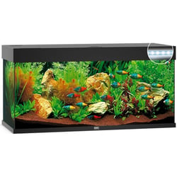 Aquarium JUWEL Rio 180 LED 