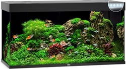 Aquarium JUWEL Rio 350 LED 