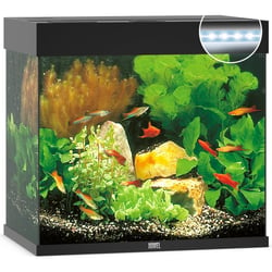 Aquarium JUWEL Lido 120 LED 