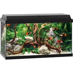 Aquarium Juwel Primo 60 LED