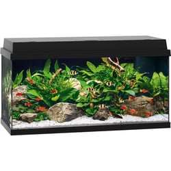 Aquarium Juwel Primo 110 LED